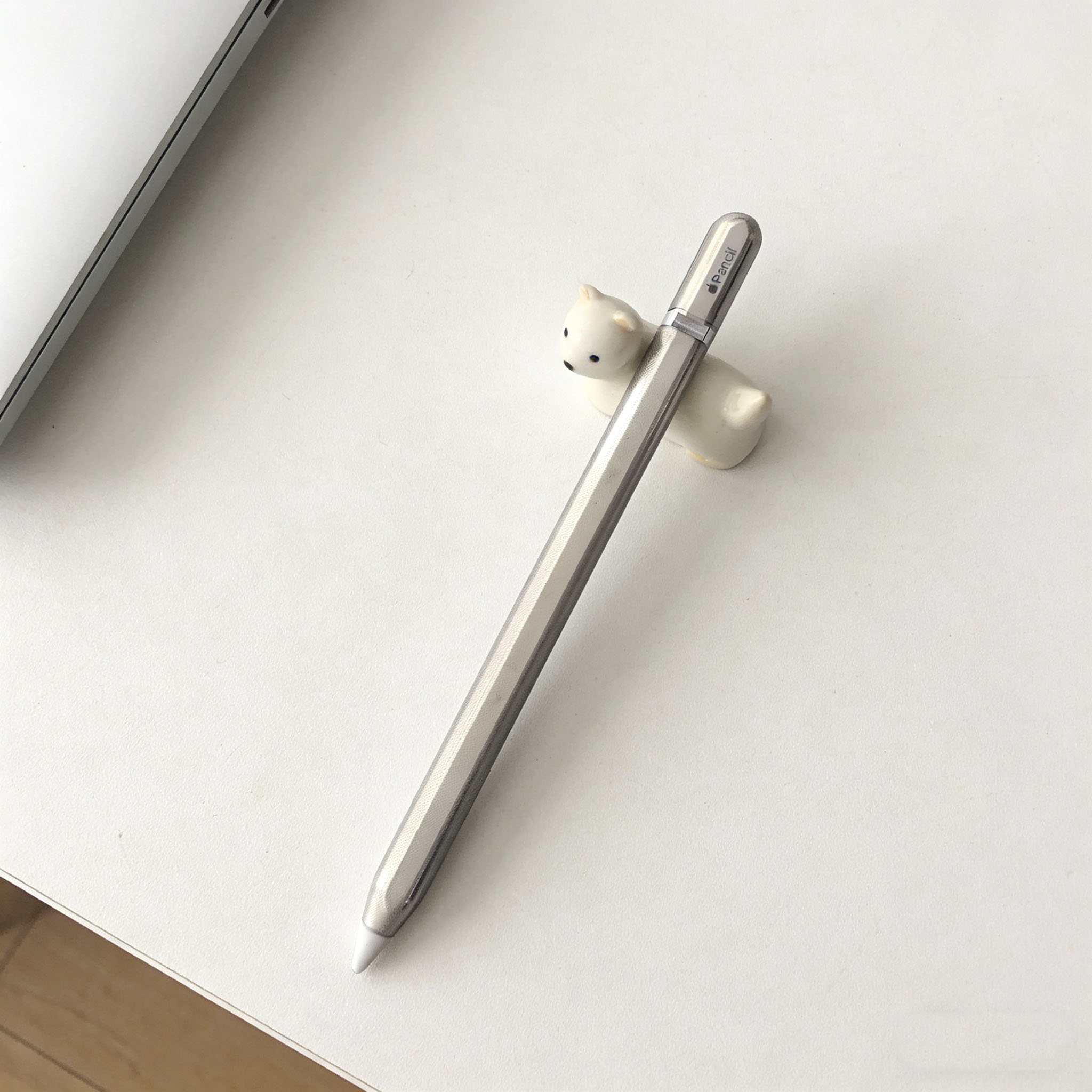 Pencil Case for Apple Pencil P - Iphone Tablet Accessories 评论和价格